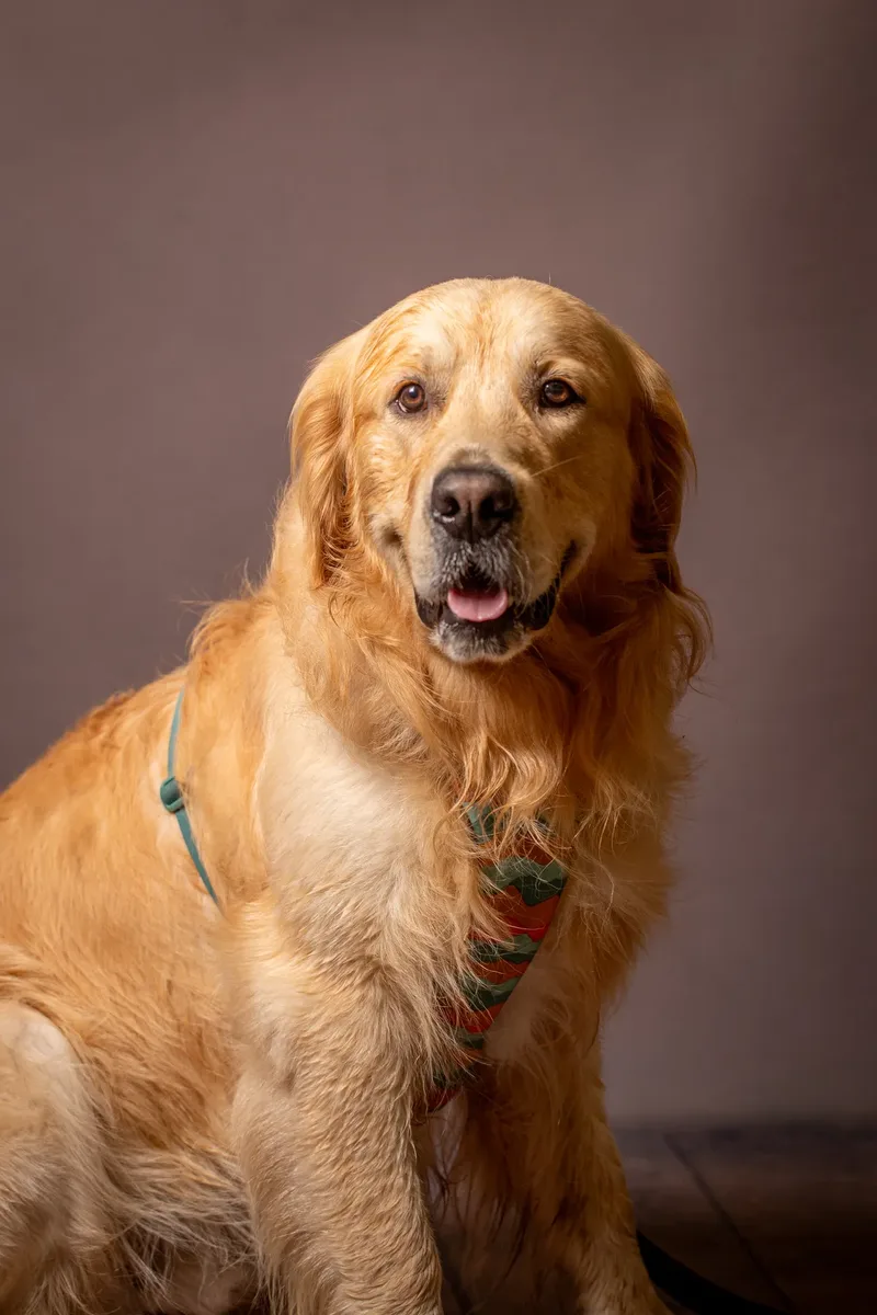 Bark 2 School 2025 (23 of 24)