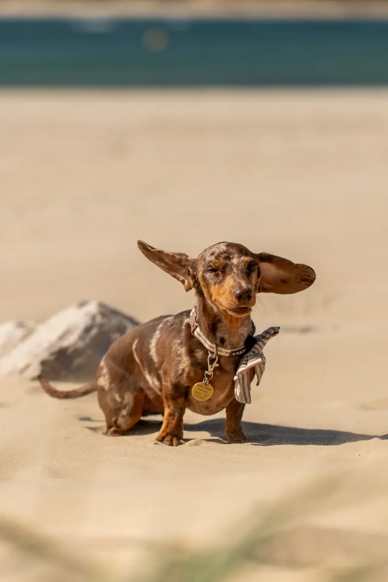 Margot at the beach (6 of 45)