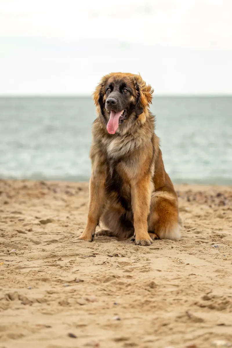 Spring Beach Mini Sessions (13 of 105)
