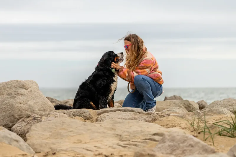 Berry the Bernese Mountain Dog (14 of 30)