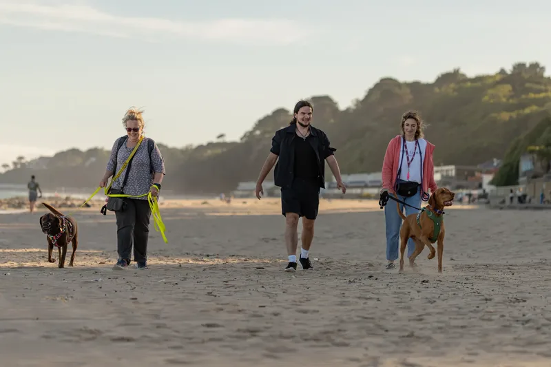 Dorset Dog Trainer – Branksome Chine (33 of 52)