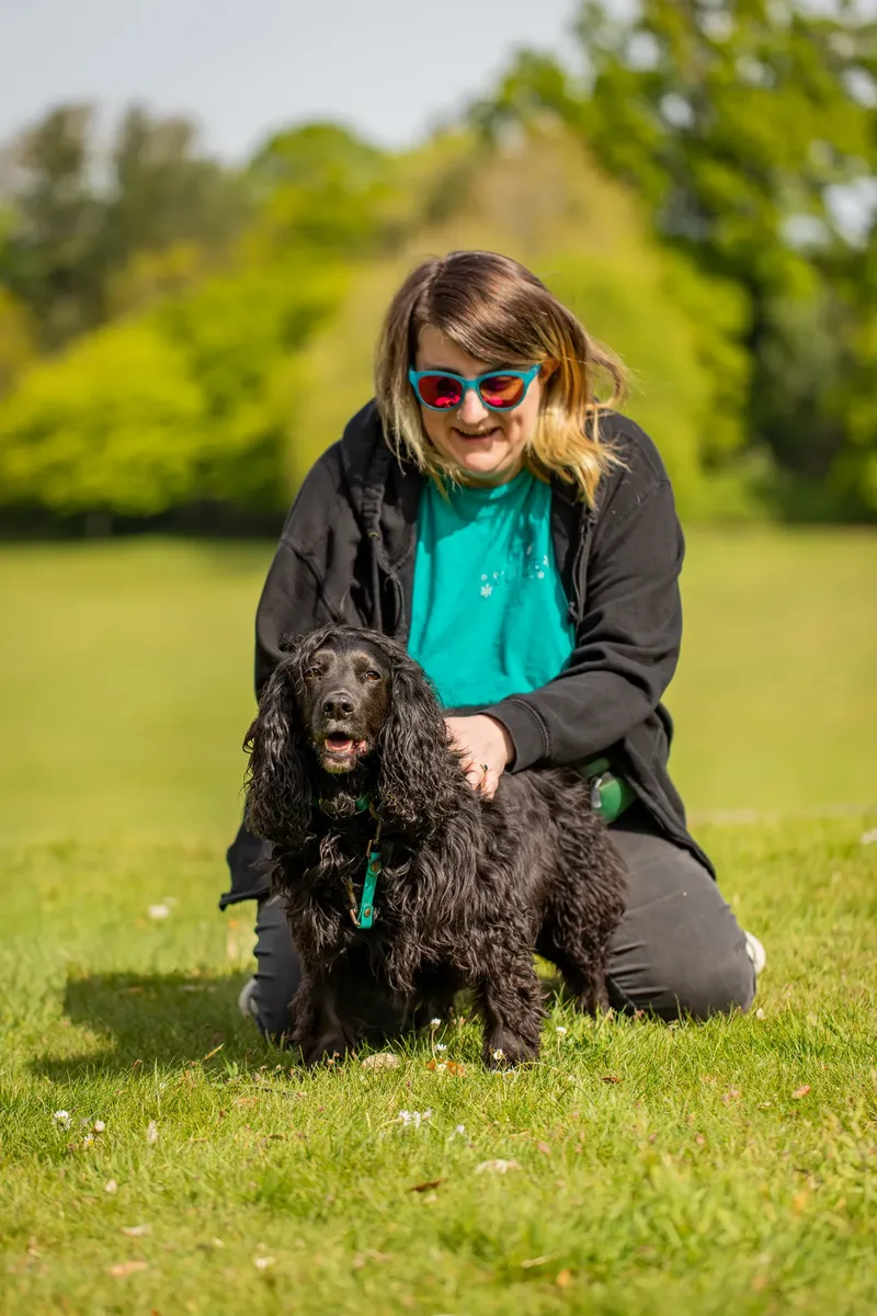 The Dorset Dog Trainer (31 of 42)