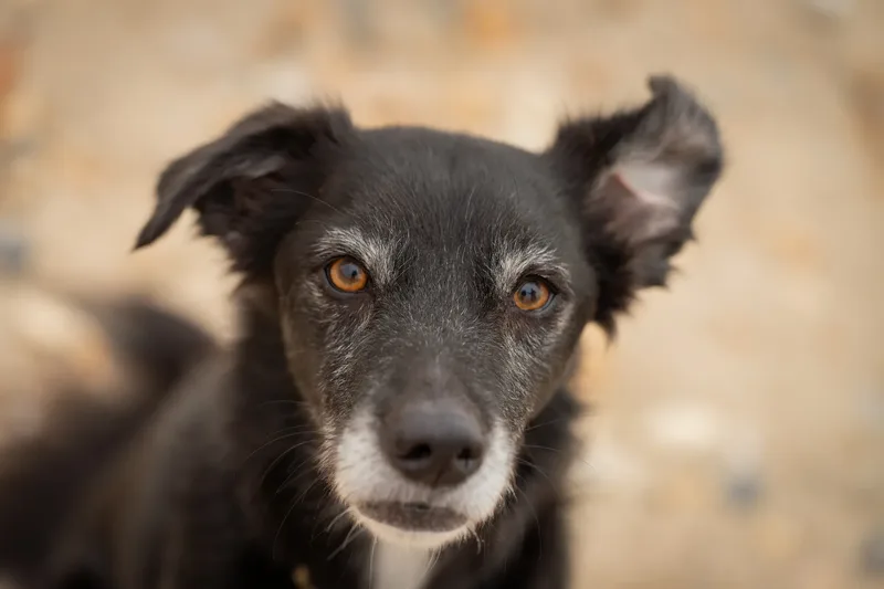 Olive (42 of 43)
