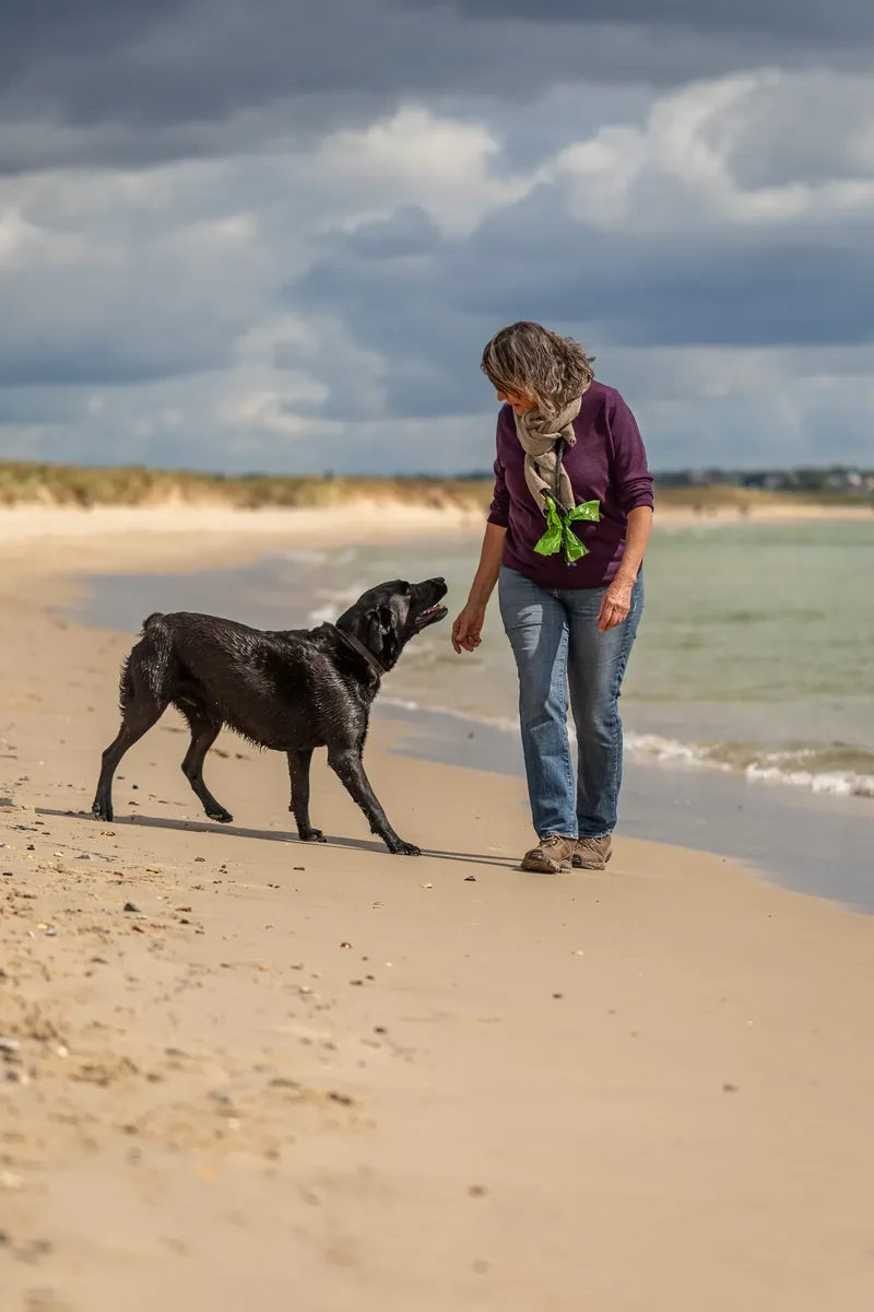 Stan the black lab (16 of 38)
