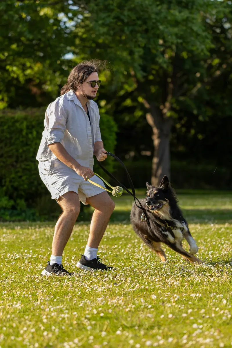 Dorset Dog Trainer – Poole Park (6 of 59)
