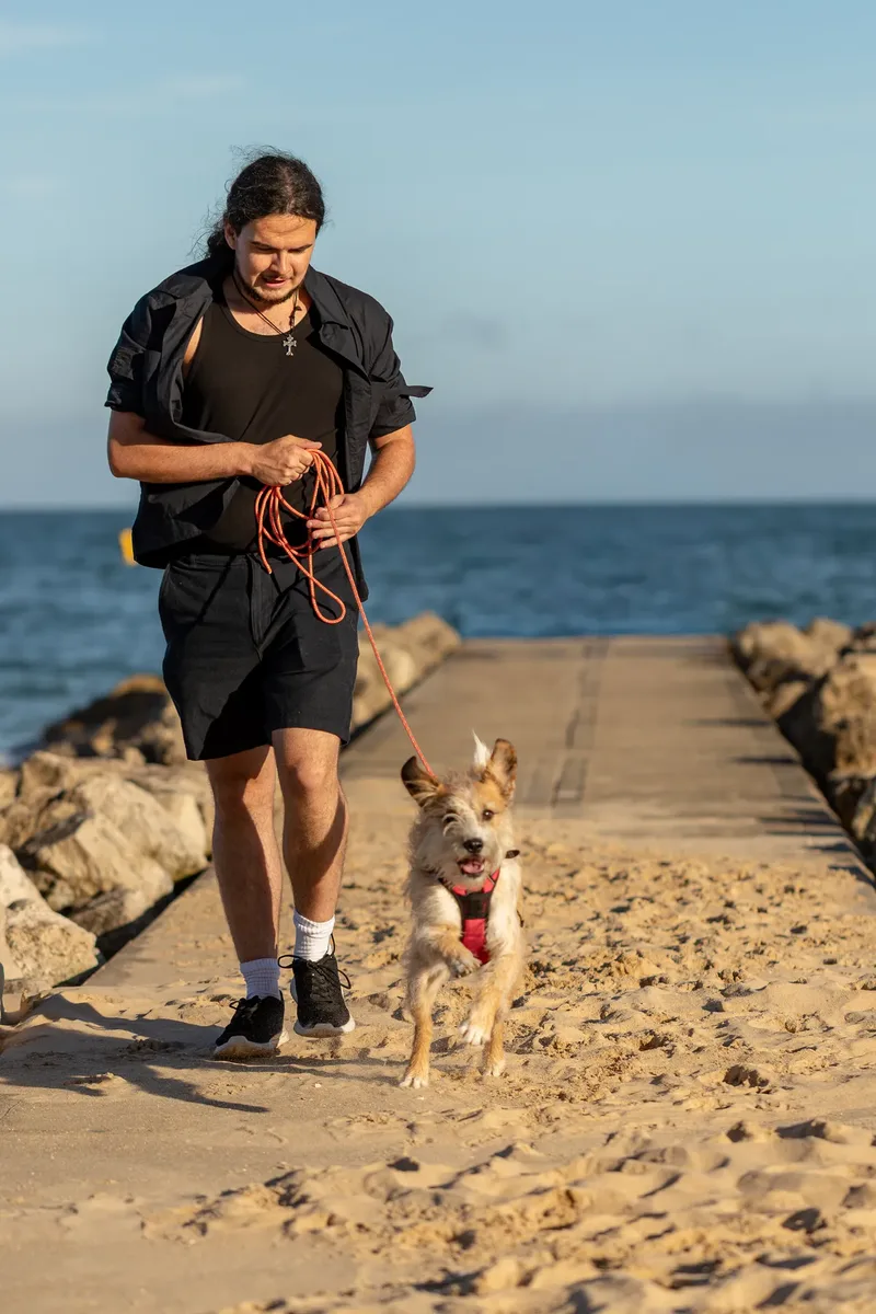 Dorset Dog Trainer – Branksome Chine (39 of 52)