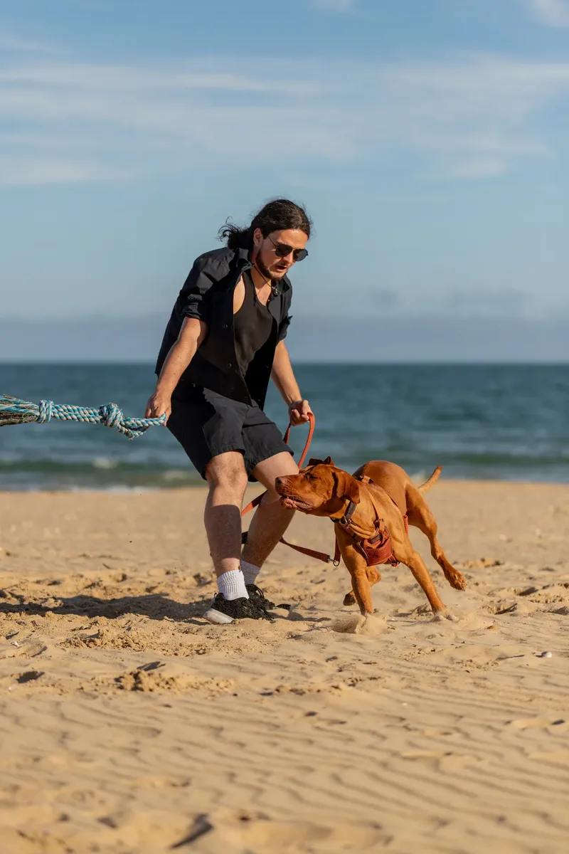 Dorset Dog Trainer – Branksome Chine (16 of 52)