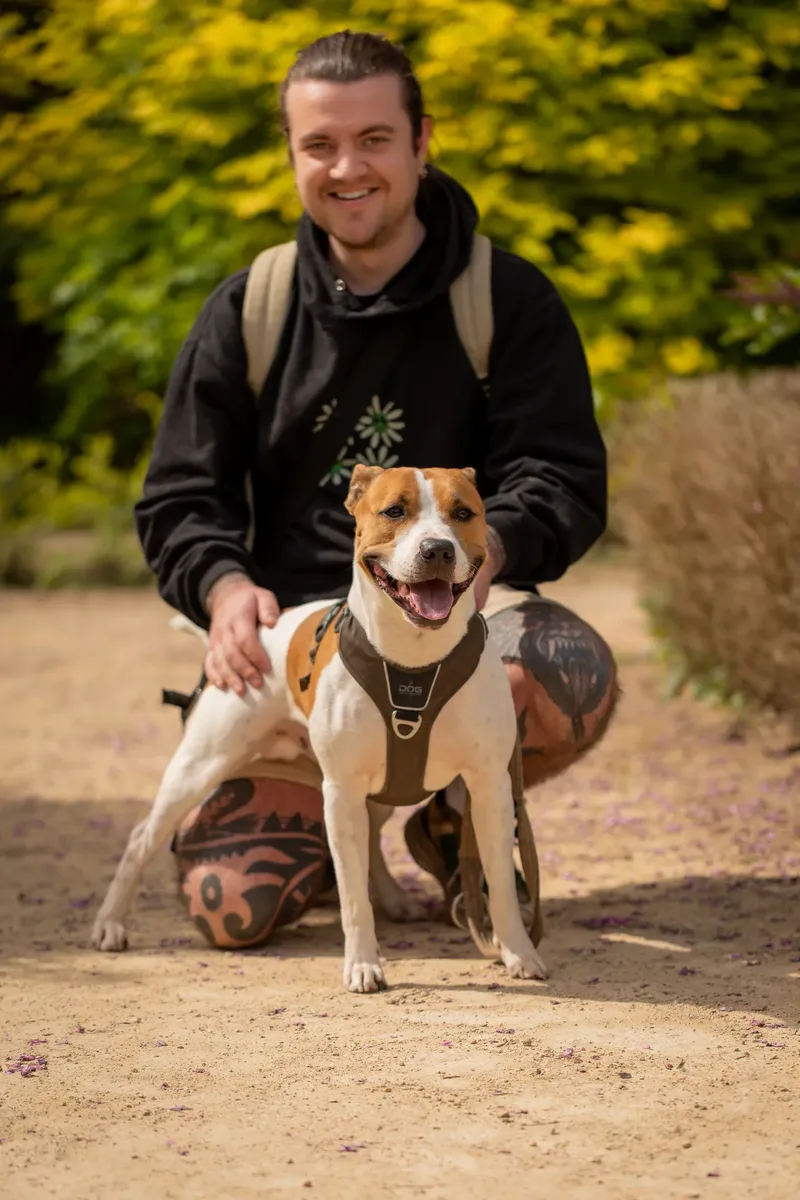The Dorset Dog Trainer (21 of 42)