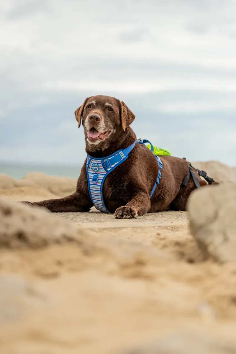 Spring Beach Mini Sessions (63 of 105)