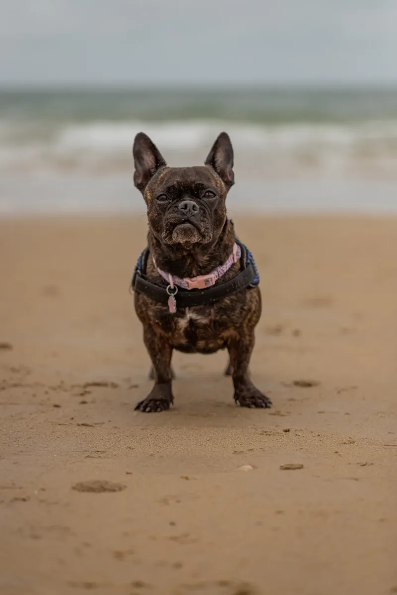 Spring Beach Mini Sessions (76 of 105)