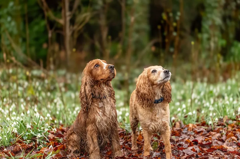 Max, Alfie & Friends (3 of 22)