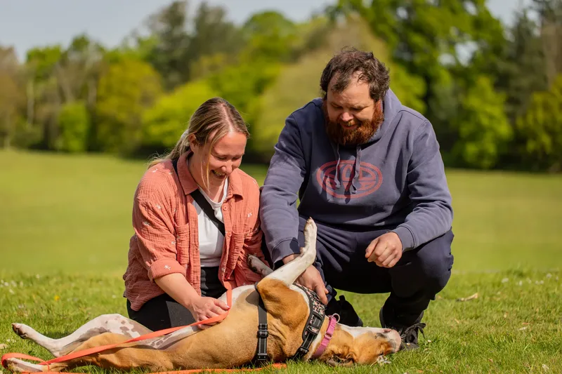 The Dorset Dog Trainer (35 of 42)