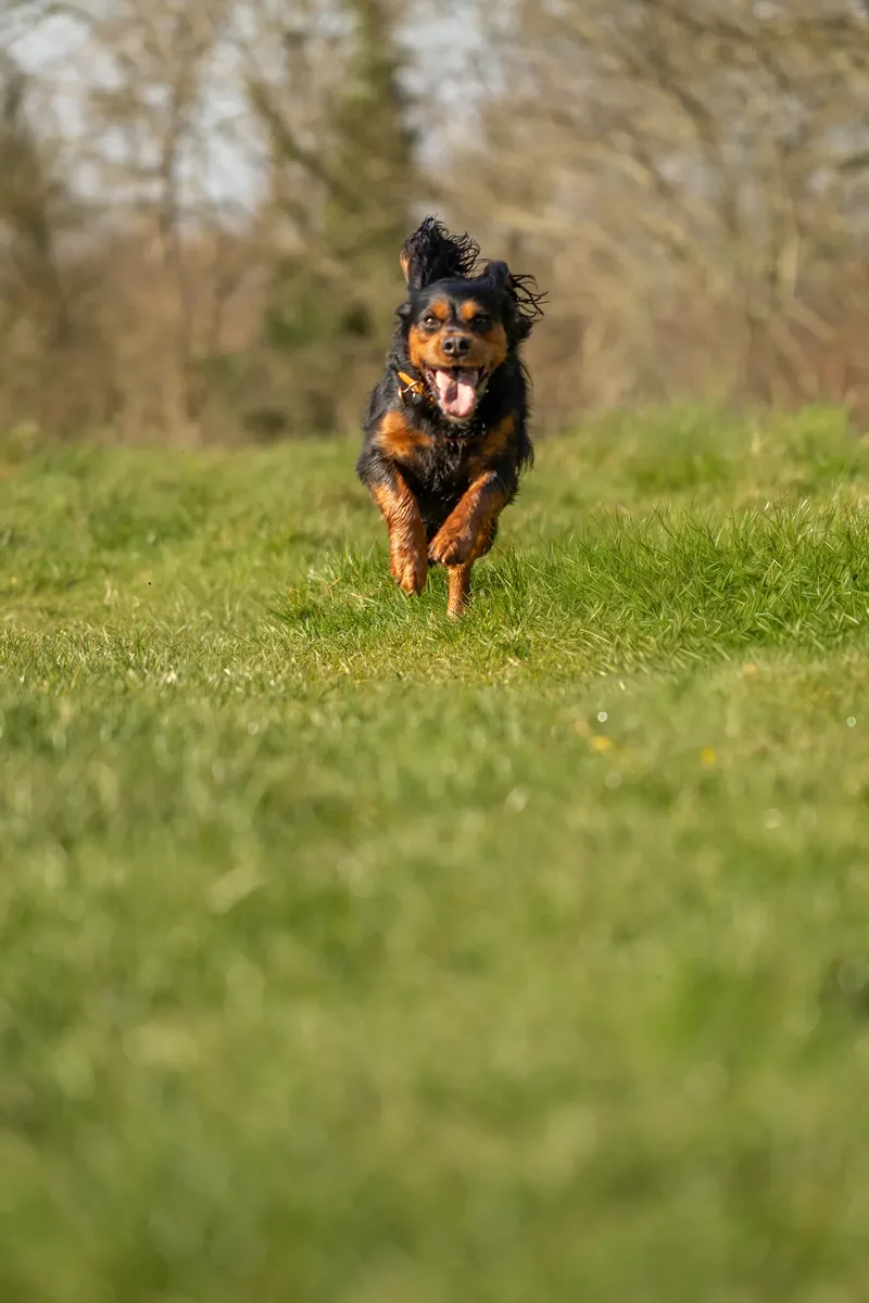 Maya (24 of 29)