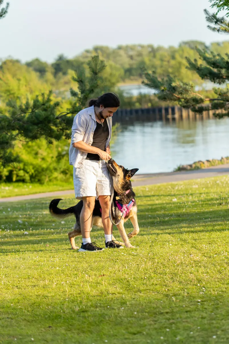 Dorset Dog Trainer – Poole Park (55 of 59)