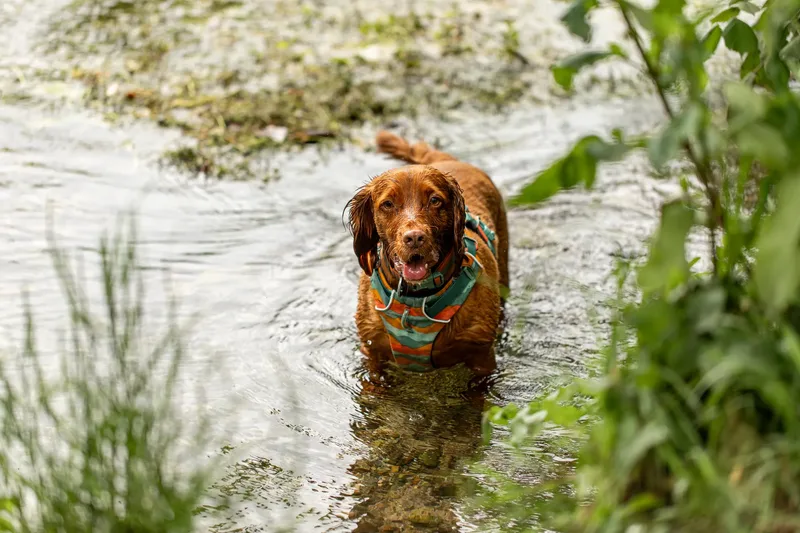 Ralph & Monty (23 of 24)