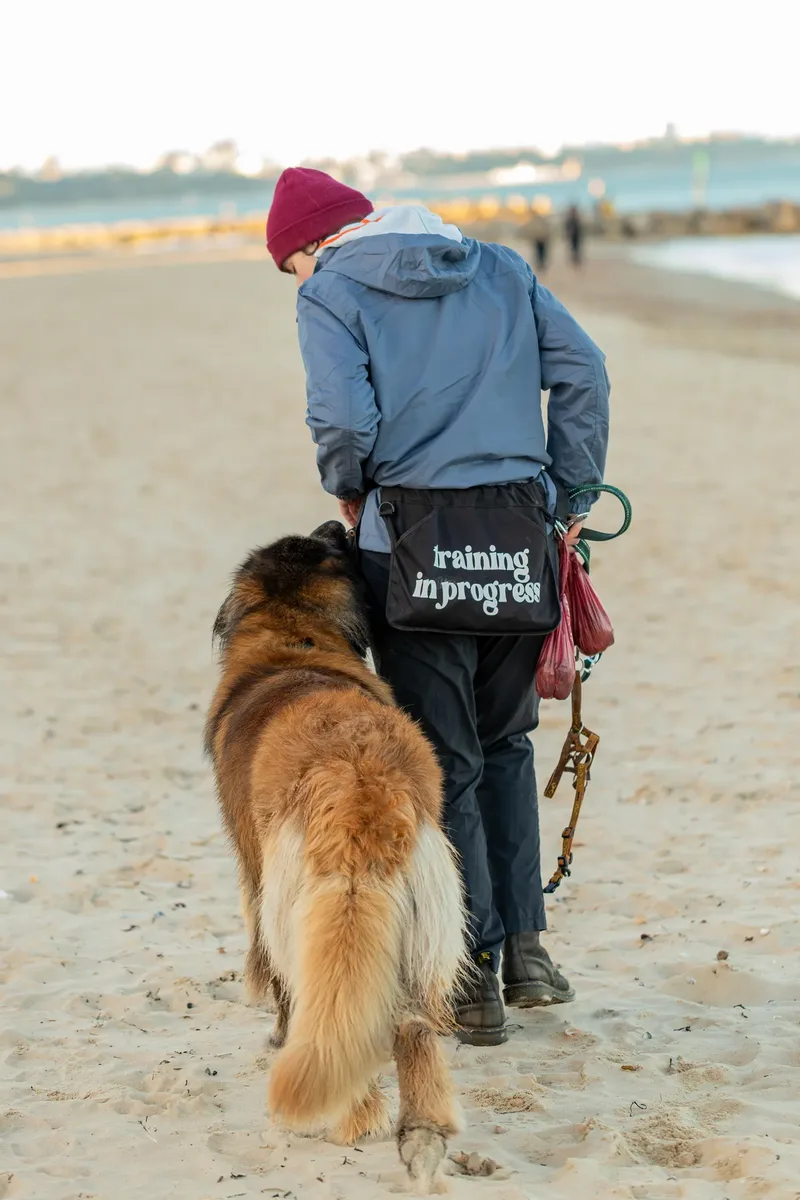 Leonberger Meet Up (45 of 47)