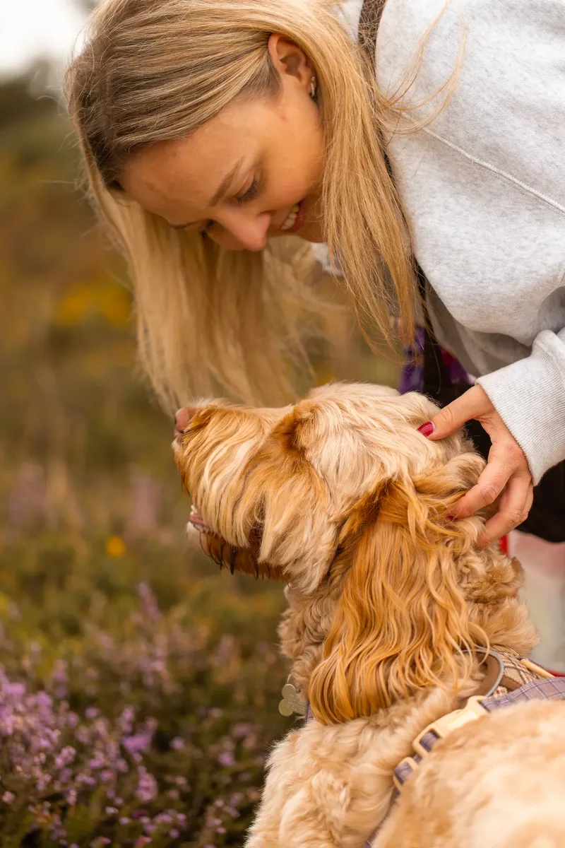 An Autumn Afternoon with Toby at Canford Heath (6 of 24)