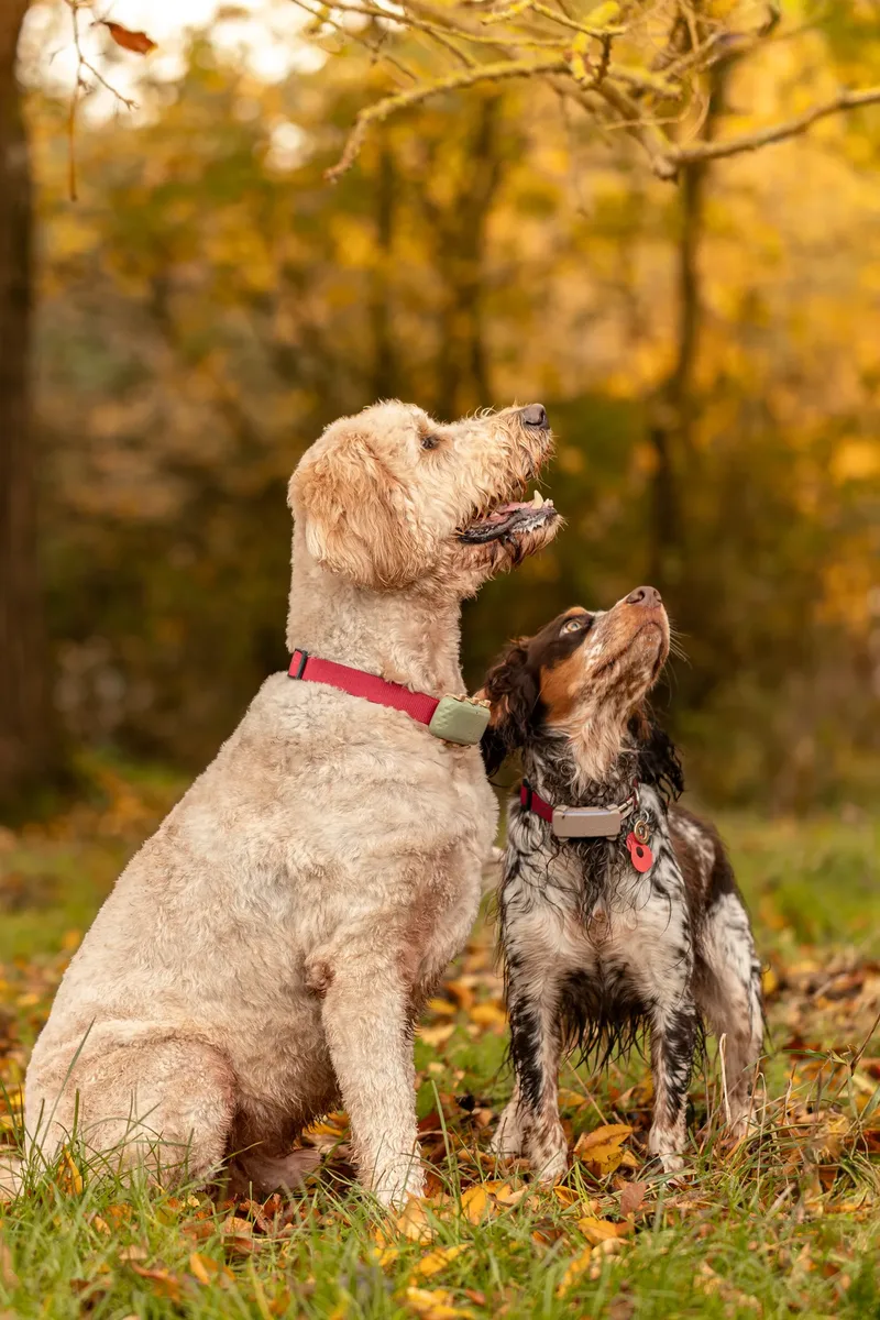 Dudley & Neville (2 of 24)