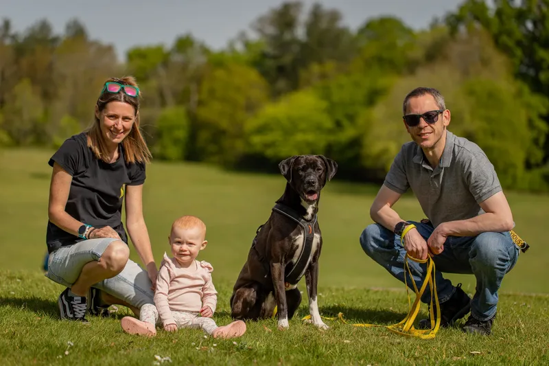The Dorset Dog Trainer (36 of 42)