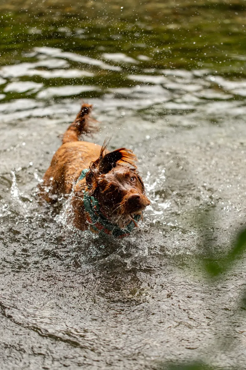 Ralph & Monty (20 of 24)