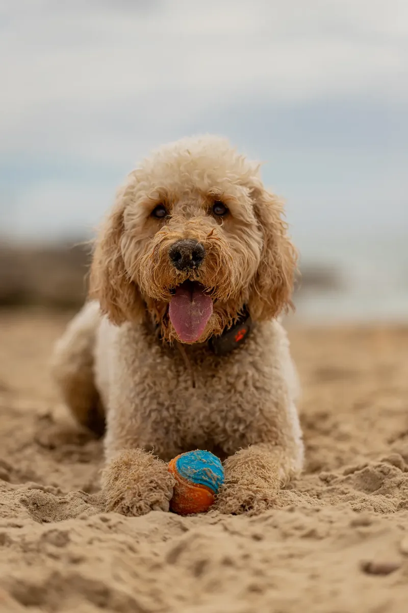 Spring Beach Mini Sessions (31 of 105)