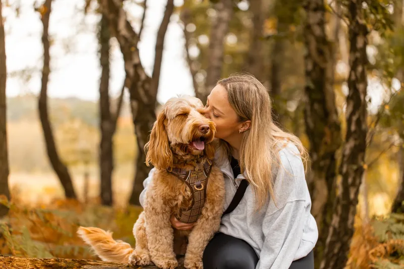 An Autumn Afternoon with Toby at Canford Heath (4 of 24)