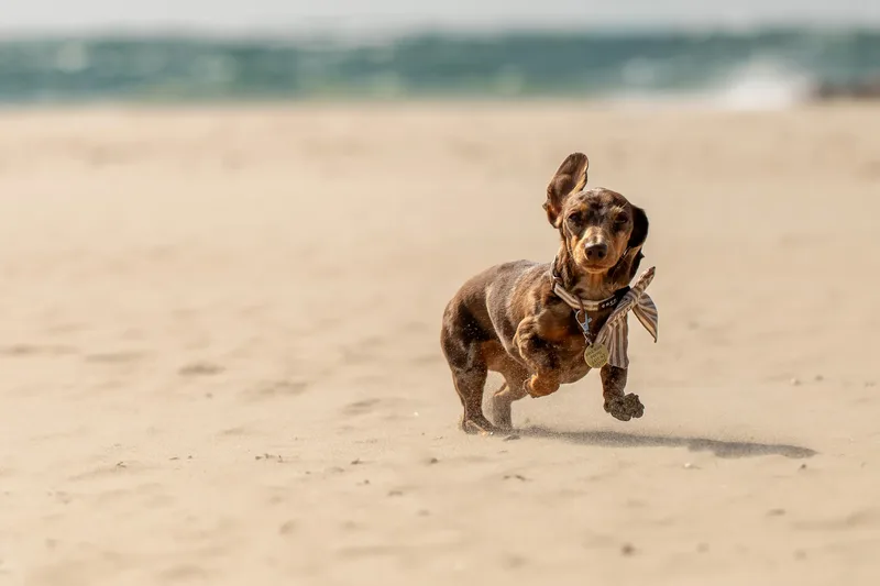 Margot at the beach (45 of 45)