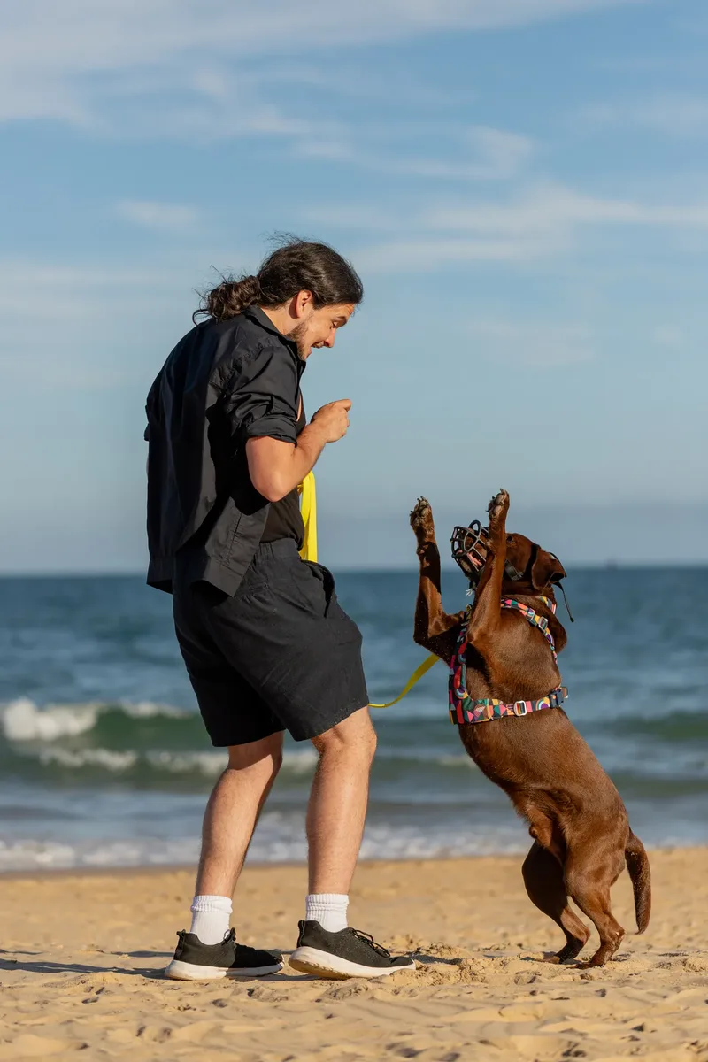 Dorset Dog Trainer – Branksome Chine (27 of 52)