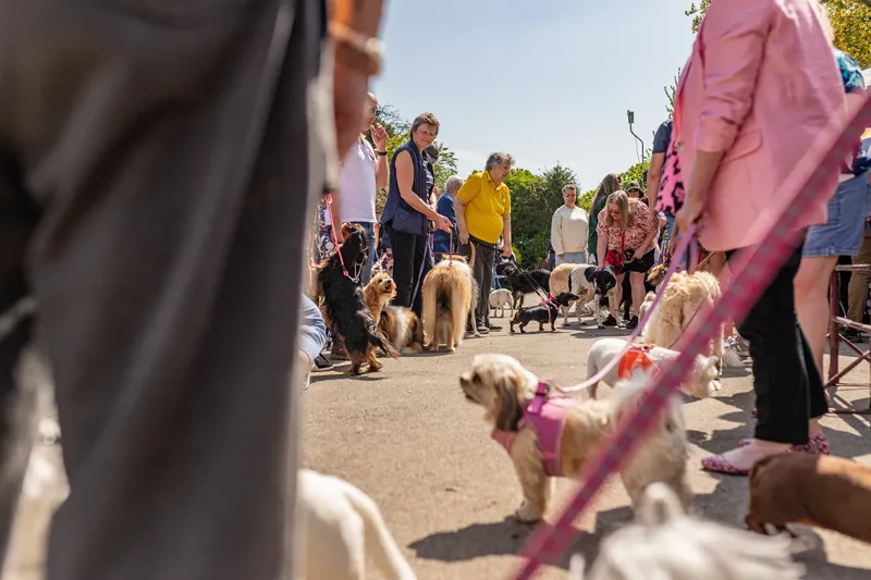 Sunshine, Smiles & Wagging Tails at Cherry Tree Nurseries (17 of 24)