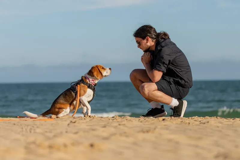 Dorset Dog Trainer – Branksome Chine (7 of 52)