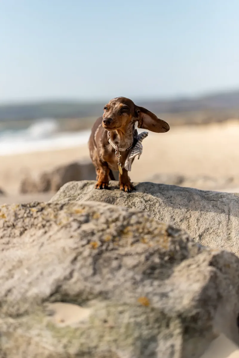 Margot at the beach (10 of 45)