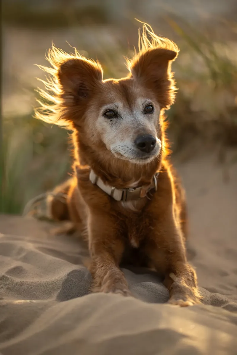 Willow (22 of 30)
