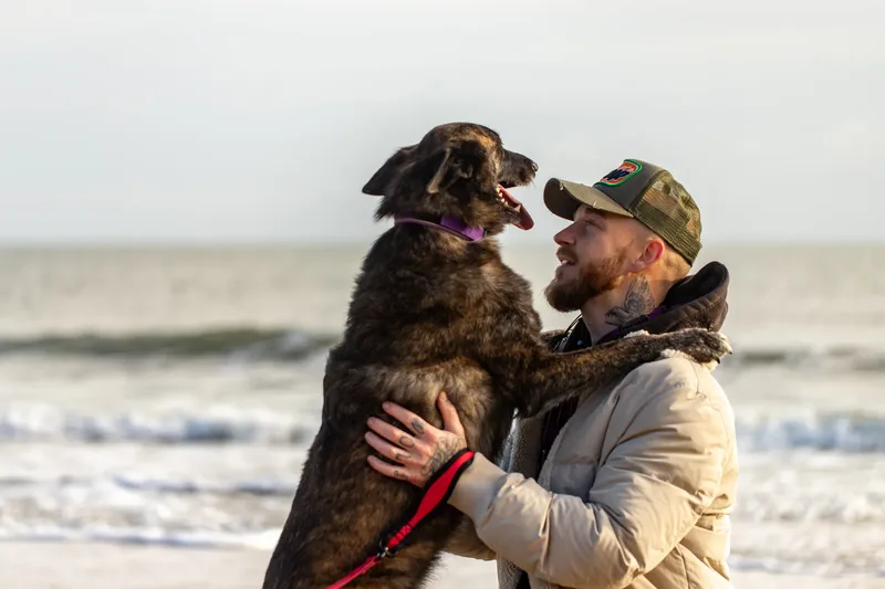 Baloo and Estia on the beach (9 of 22)