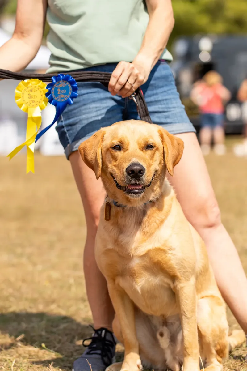Margaret Green Country Dog Show 2025 (17 of 24)