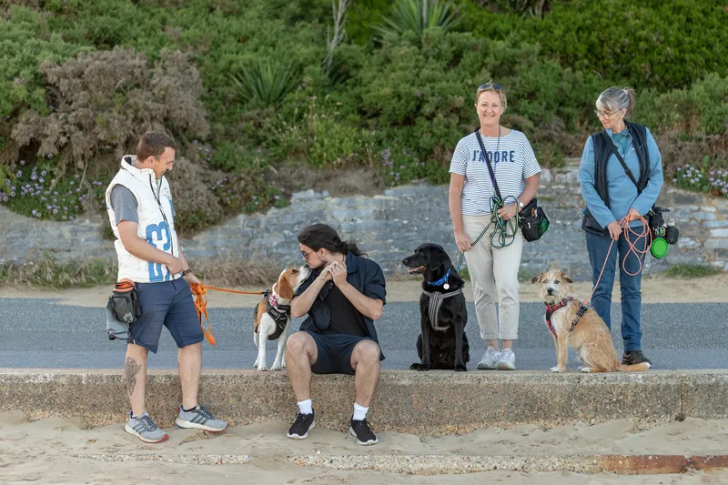 Dorset Dog Trainer – Branksome Chine (48 of 52)
