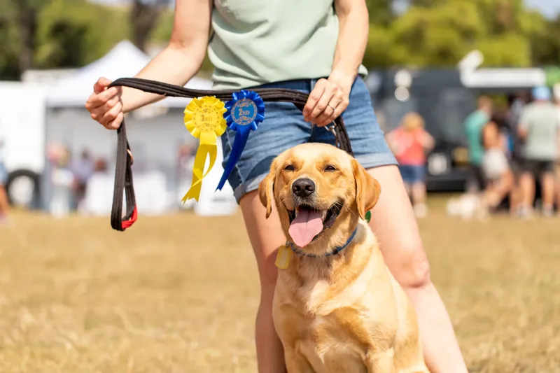 Margaret Green Country Dog Show 2025 (15 of 24)