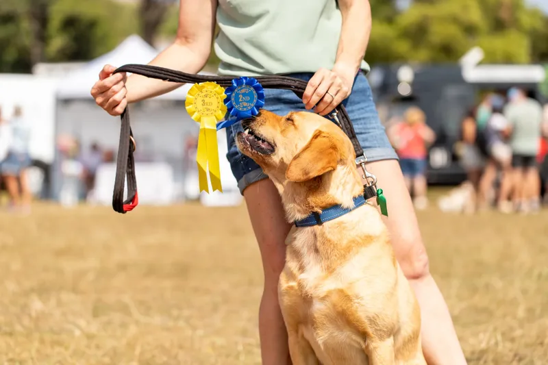 Margaret Green Country Dog Show 2025 (16 of 24)