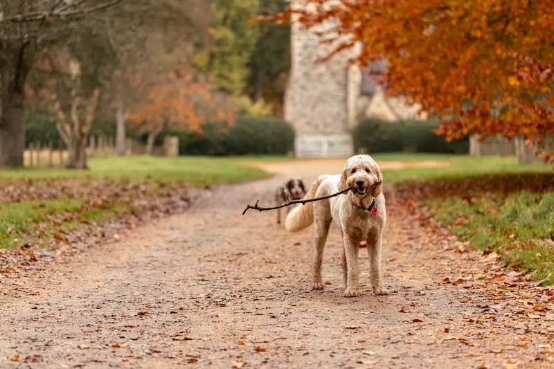 Dudley & Neville (20 of 24)