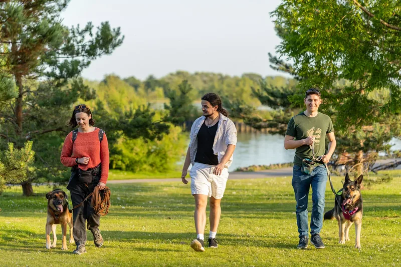 Dorset Dog Trainer – Poole Park