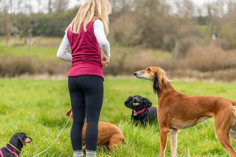 Wimborne Walkies (24 of 24)