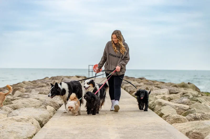Out and About Dog Walking