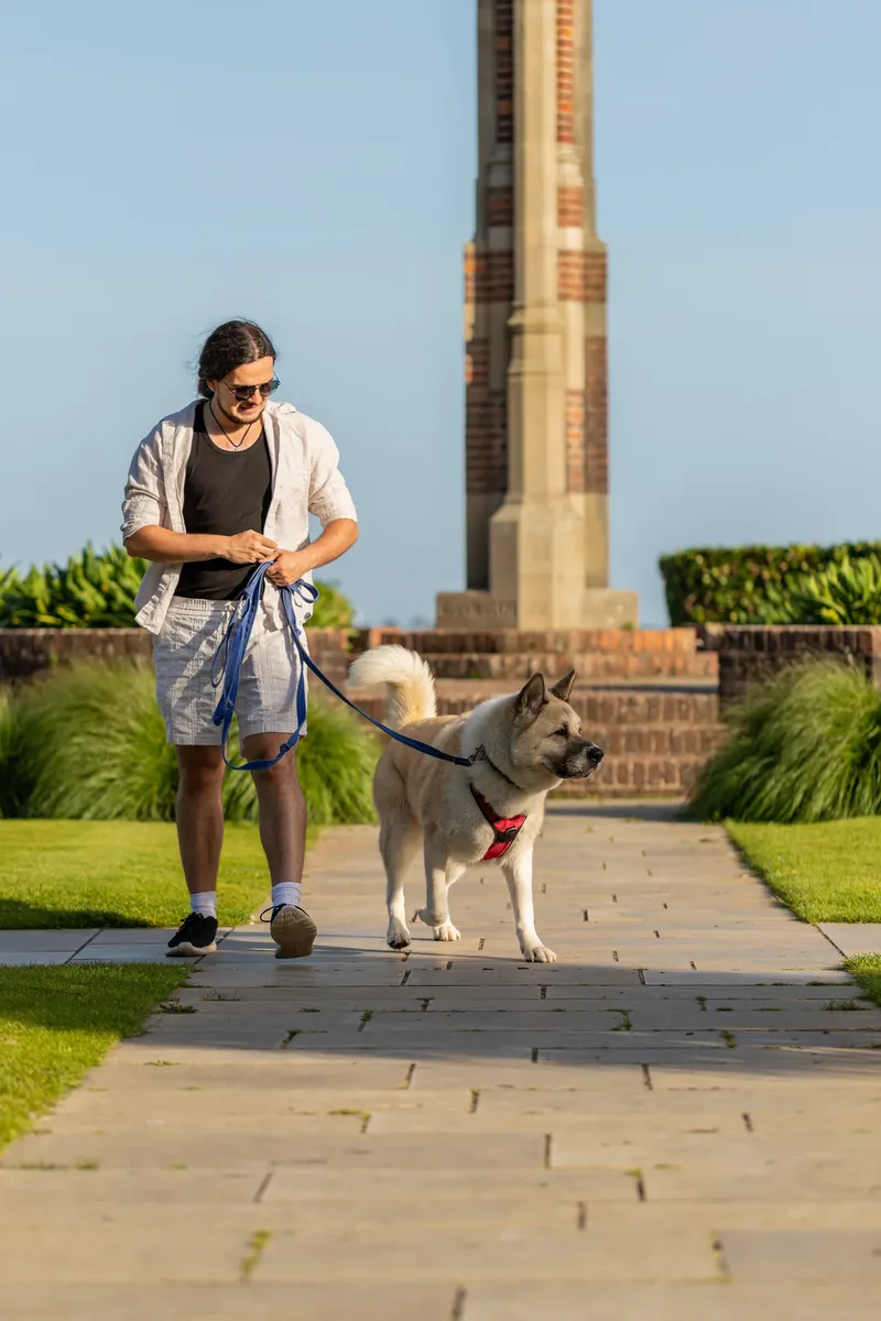 Dorset Dog Trainer – Poole Park (22 of 59)