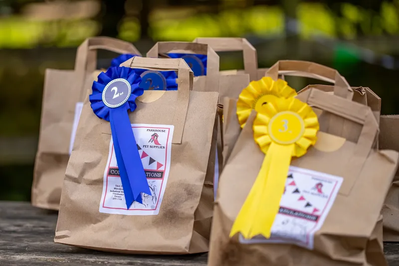 The Walled Garden Moreton – Dog show ceremony (7 of 24)