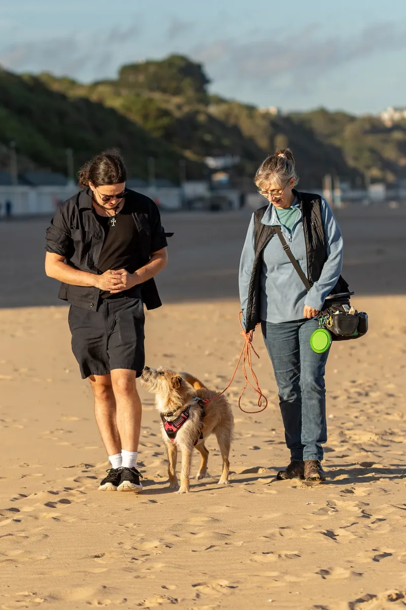 Dorset Dog Trainer – Branksome Chine (42 of 52)