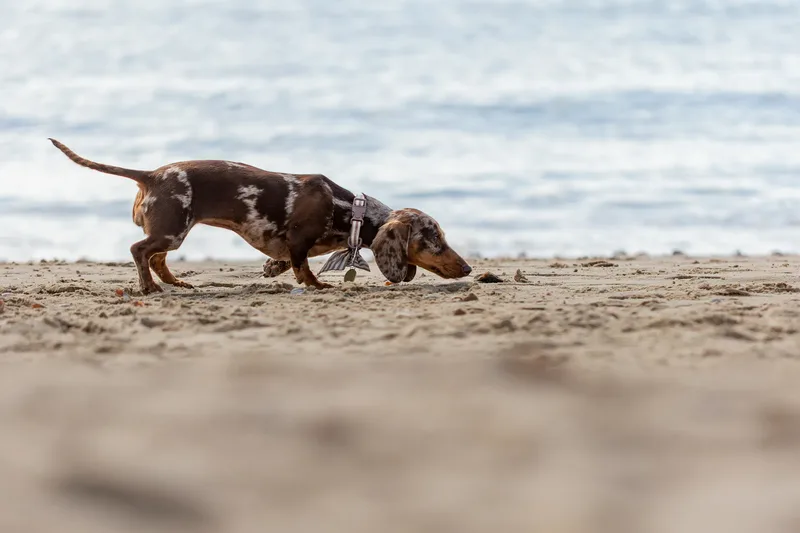 Margot at the beach (17 of 45)