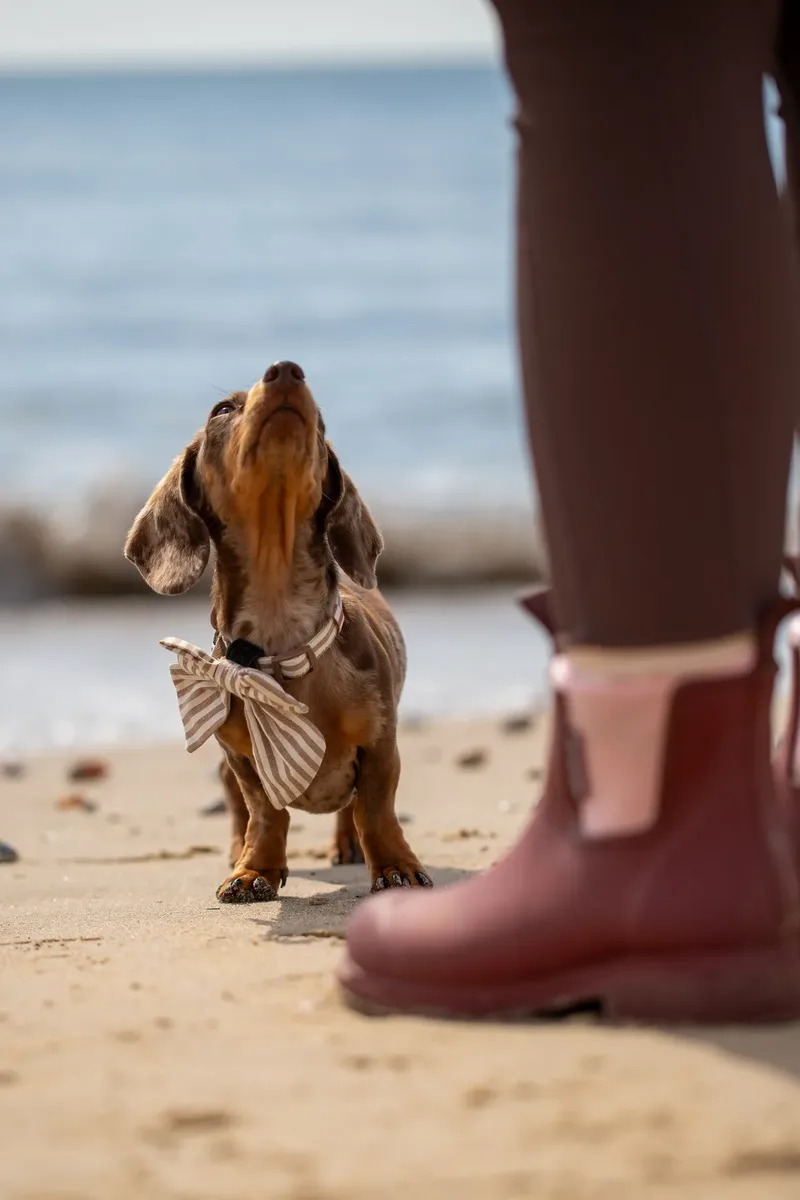 Margot at the beach (13 of 45)