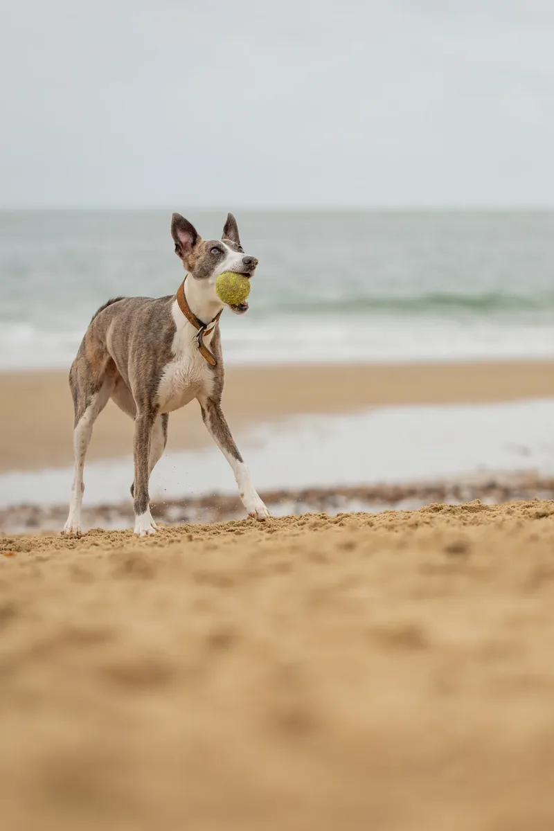 Spring Beach Mini Sessions (104 of 105)