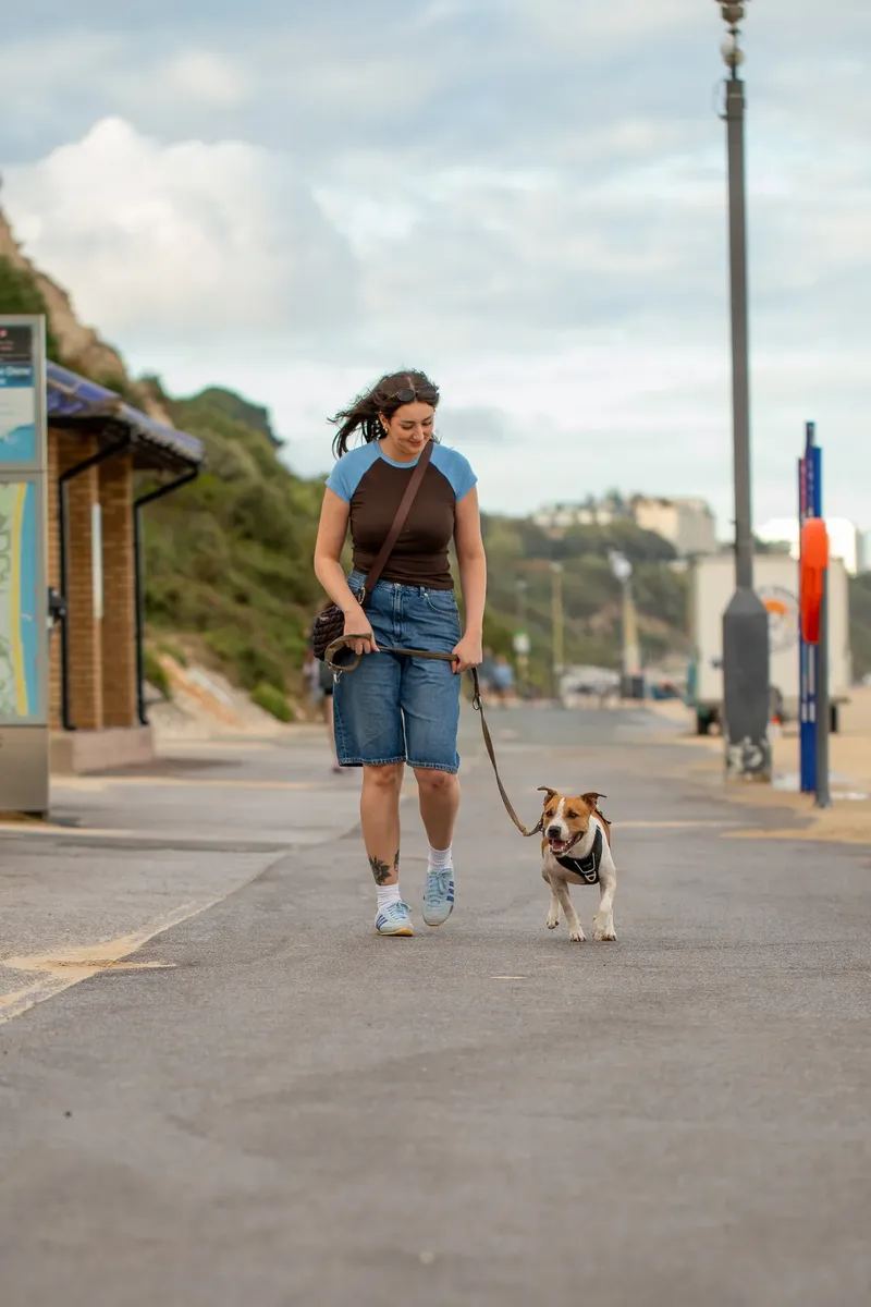 Dickie the Staffy (3 of 43)