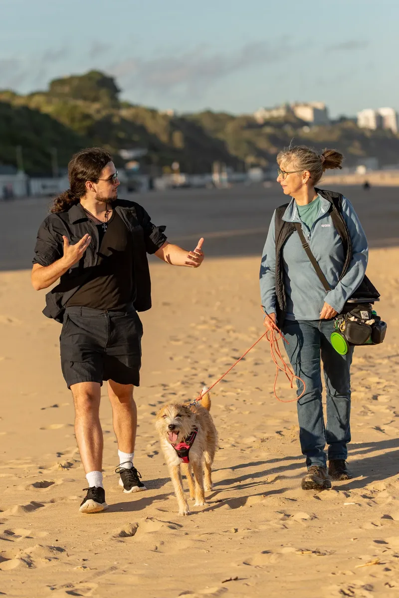Dorset Dog Trainer – Branksome Chine (43 of 52)
