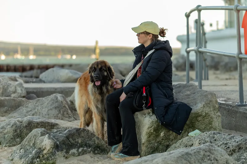 Leonberger Meet Up (42 of 47)